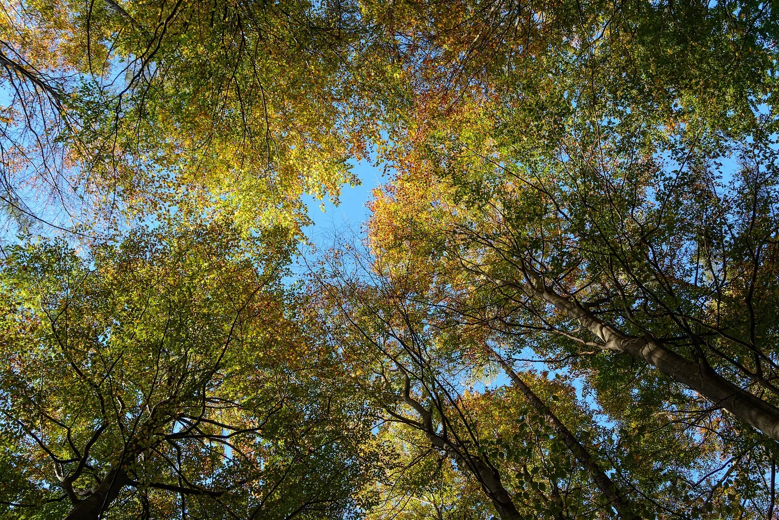 Forstmanagerin im Gespräch an einem Waldweg